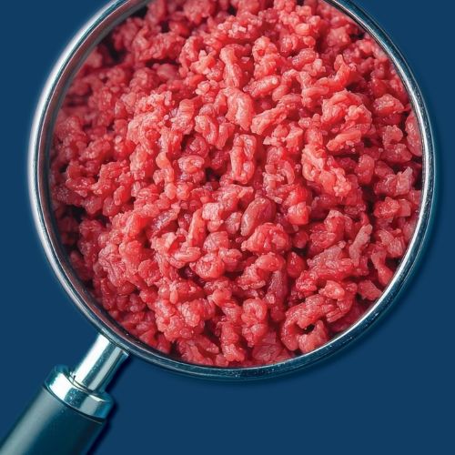 beef safety webinar